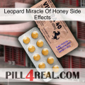 Leopard Miracle Of Honey Side Effects 41